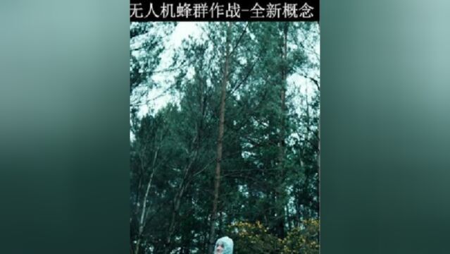 无人机蜂群作战模式