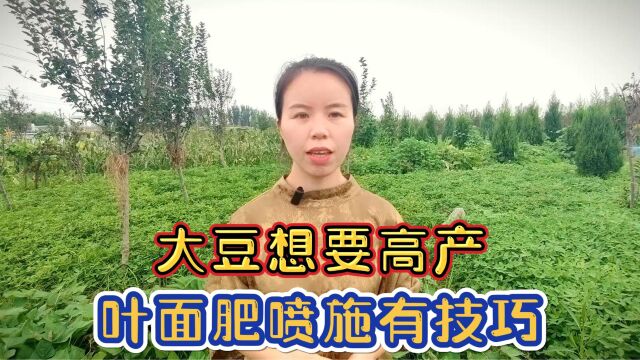 大豆叶面肥配方技术,使用效果好,而且还方便实用省成本