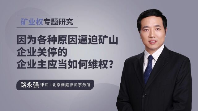 因为各种原因逼迫矿山企业关停的各企业主应当如何维权