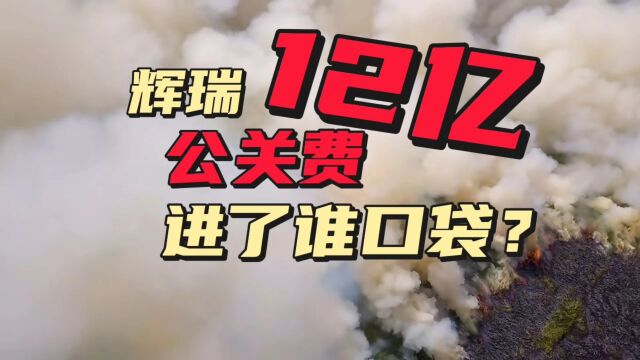 惊天内幕:辉瑞12亿公关费,进了谁口袋?