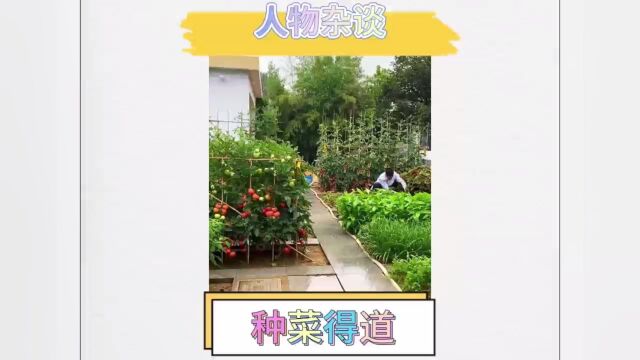 种菜悟得人生哲理