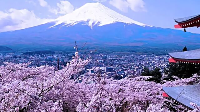 国庆出游日本热度第一?旅企:日本游已开始退团