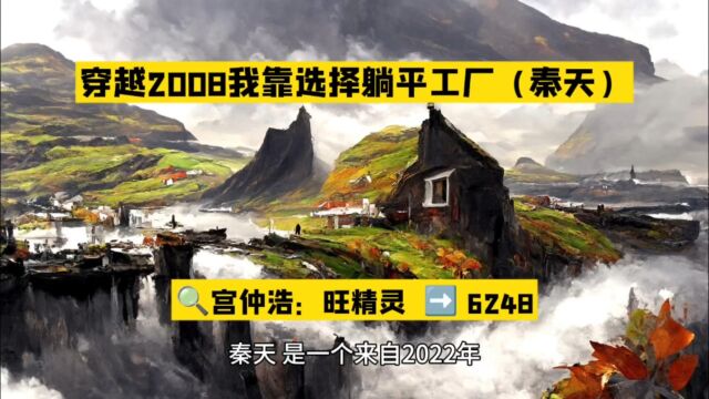 穿越2008我靠选择躺平工厂(秦天新书)○全文阅读无删减