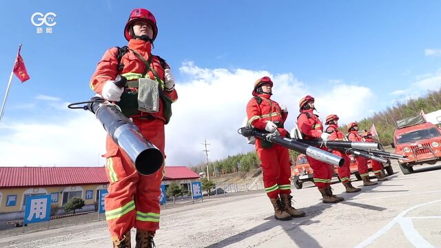 国家林草局部署林草行业安全生产工作