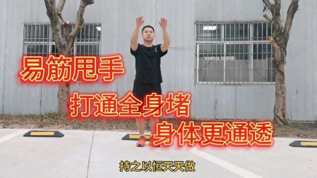 每天易筋甩手100下,我就练了17天,打通全身堵,身体更通透