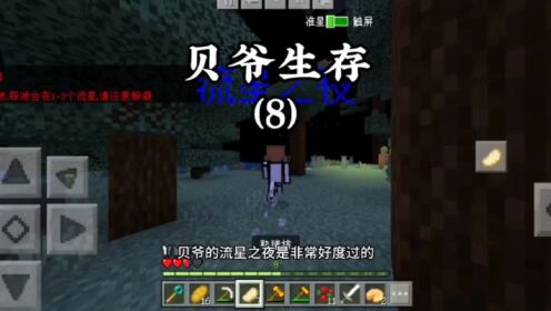 我的世界贝爷生存（8）#我的世界#贝爷生存#我的世界生存_高清