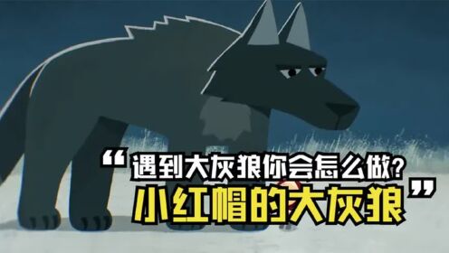 小女孩遇到大灰狼,不仅没有被吃掉,还和大灰狼成了好朋友!_动漫_高清完整版视频在线观看_腾讯视频