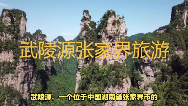 武陵源被誉为“山水画廊”.张家界有着奇特的石峰和茂密的森林