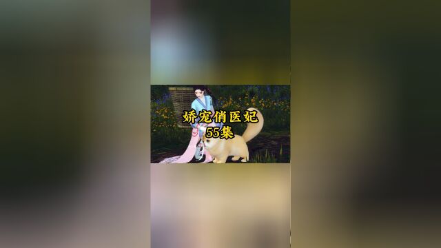 第五十五集:又捡小狼