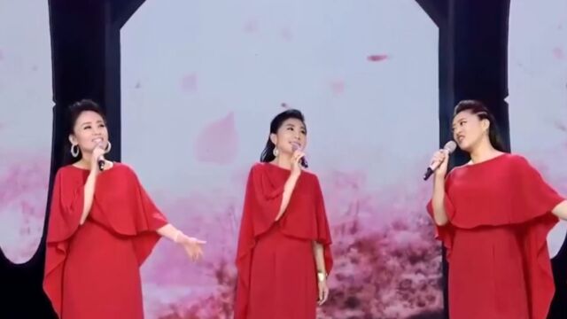 歌曲《桃花谣》,黑鸭子演唱组歌词诗情画意,动听十足