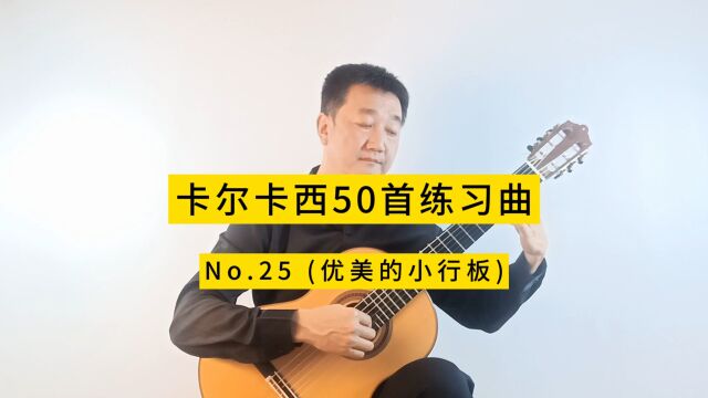 卡尔卡西50首渐进练习曲No.25优美的小行板