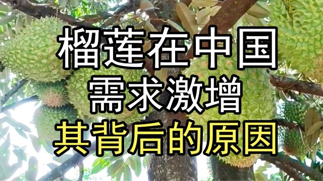 榴莲在中国需求激增,其背后的原因