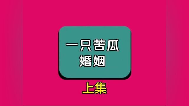 《一只苦瓜婚姻》全集#番茄小说