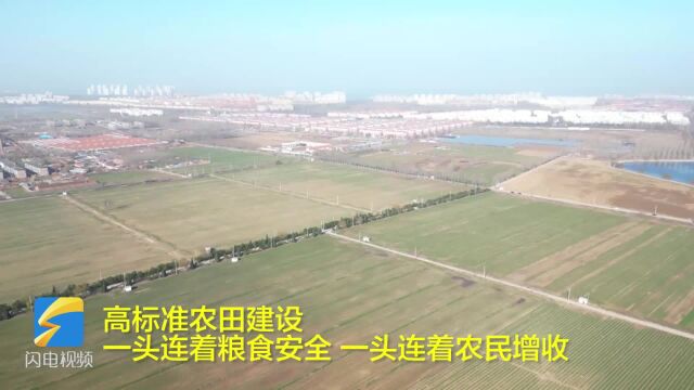 龙口市:推进高标准农田建设 筑牢乡村振兴“耕”基