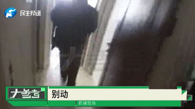 “老外”也被骗?郑州警方打掉一“杀洋盘”诈骗窝点,15人落网