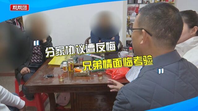 签好的分家协议遭反悔?三兄弟再起争执 老三:协议非父亲意愿