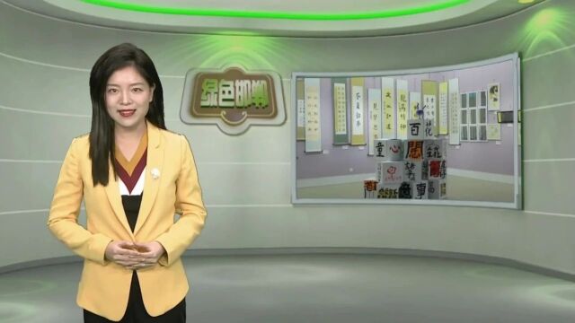 百花小学艺术教育成果展闭幕式暨颁奖典礼圆满举行