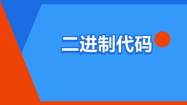 “二进制代码”是什么意思?