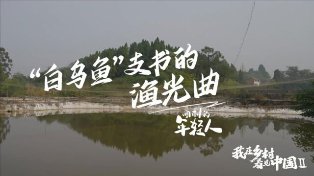 “白乌鱼”支书的渔光曲:一条鱼“游”进大产业