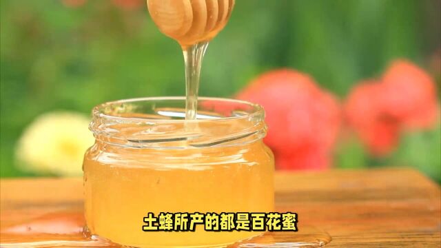 土蜂蜜和普通蜂蜜什么区别?营养差别这么大,不知道亏大了