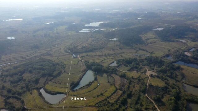 董德彰曰惟有田朝胜海朝,数百亿上市公司一哥祖坟,风水很有特点