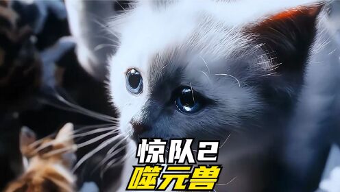 “噬元兽:我只是一只可爱的橘猫”_高清1080P在线观看平台_腾讯视频