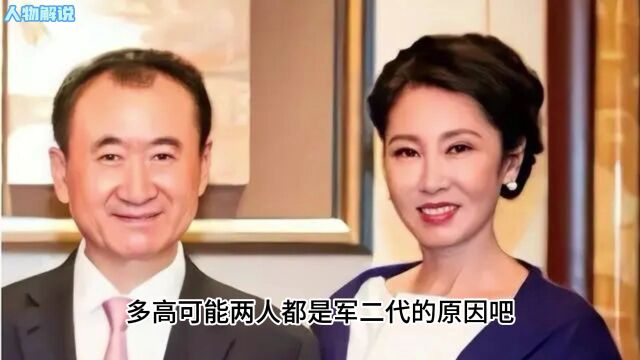 两年帮老公还债2000亿!王健林妻子林宁:嫁不嫁首富,我都是豪门