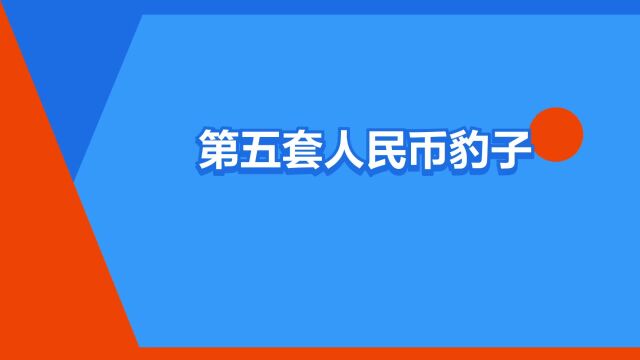 “第五套人民币豹子号”是什么意思?