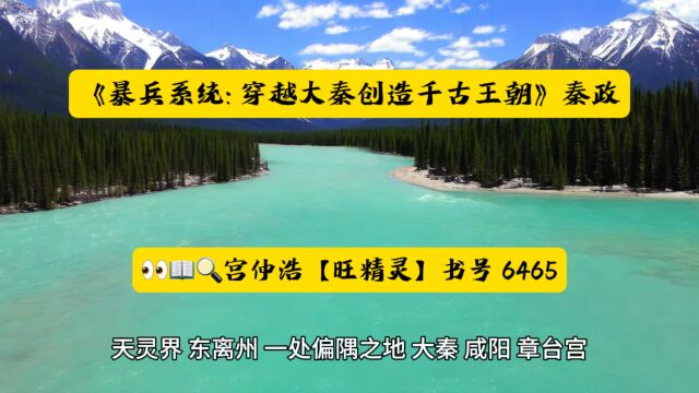 《暴兵系统: 穿越大秦创造千古王朝》秦政林月璃全文TXT◇阅读