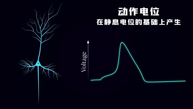 大脑神经元到底有多厉害,深度神经网络