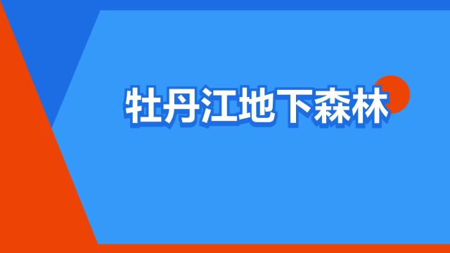 “牡丹江地下森林”是什么意思?