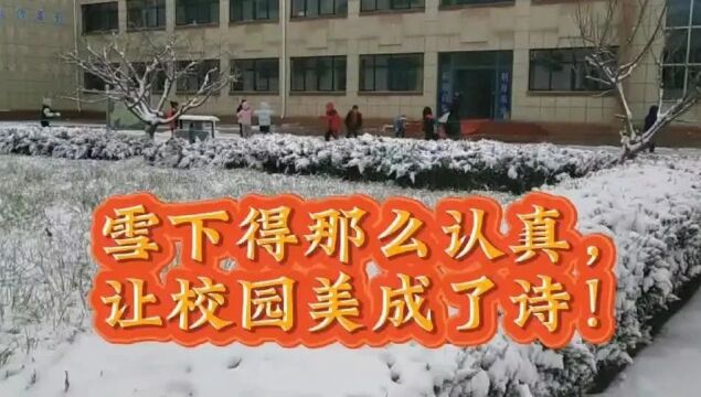 【演马|校园】雪落人间 美在校园