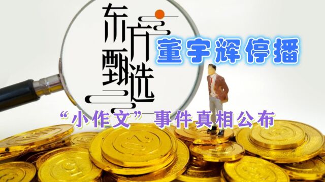 董宇辉停播!东方甄选“小作文”事件到底咋回事?本视频详细梳理