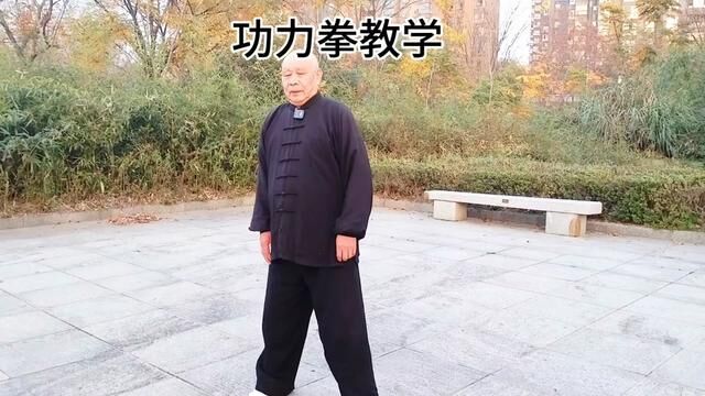 #功力拳教学