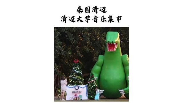 值得一去的清迈大学 静心湖and大草坪 青春的气息 真的太舒服了 泰国大学乐队真的超棒#泰国旅游 #泰国 #清迈 #清迈大学