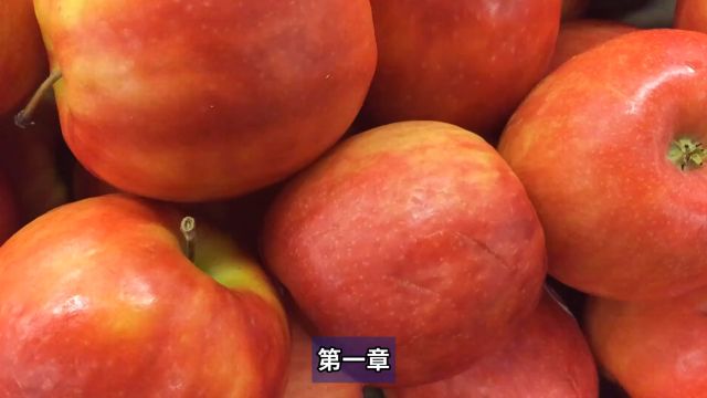 看水果学中文|苹果:外貌、味道、颜色