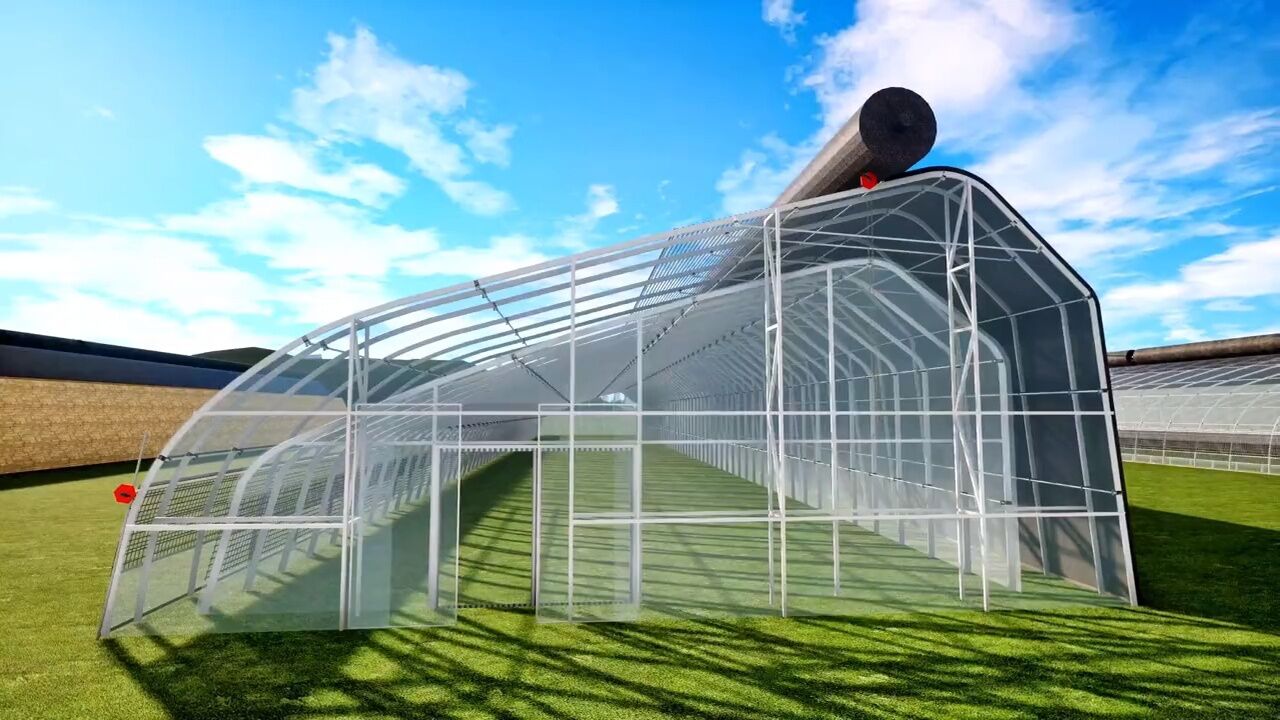 半坡棚日光温室套棚效果图展示