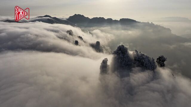 天子山雪后初霁美如画