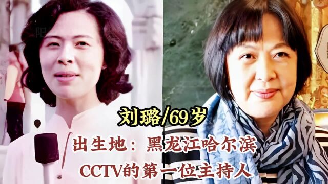 黑龙江走出来的13位央视主持人,张政跨界当官,郑丽大气又美丽