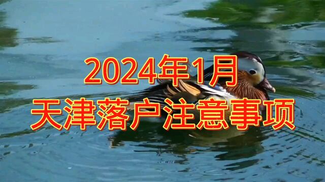 2024年天津落户政策解读