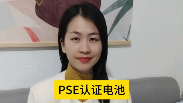 PSE认证电池