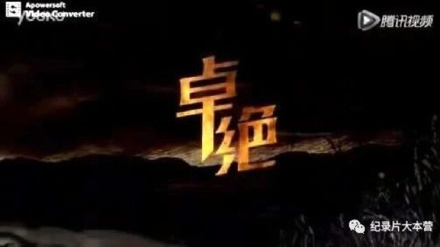 抗战系列|纪录片《卓绝》15集(全)