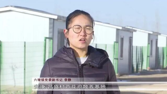 六墩镇:村集体经济“活”起来 乡村产业“兴”起来丨乡村行 看振兴