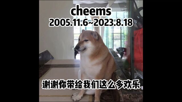 谢谢你cheems