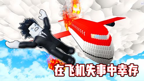 我乘坐的飞机发生了空难，我能否在空难中幸存！ROBLOX