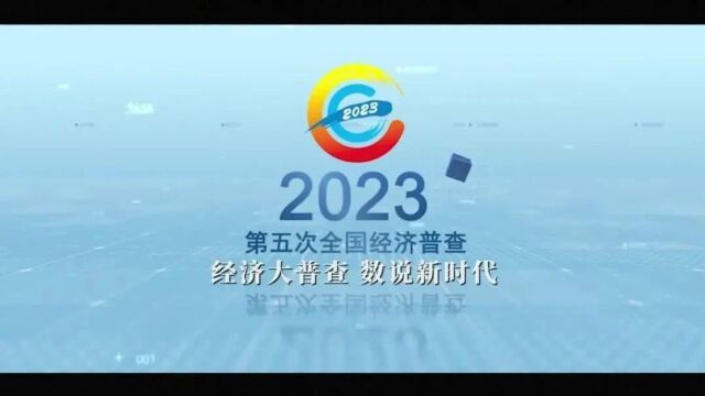 第五次全国经济普查,文山市在行动!