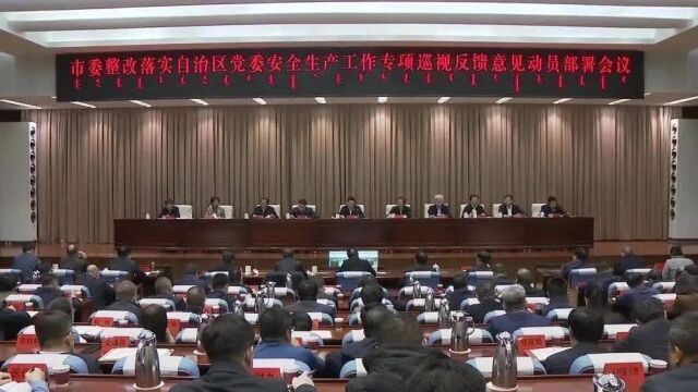 市委整改落实自治区党委安全生产工作专项巡视反馈意见动员部署会议召开 李理讲话 杜汇良主持 张占林苏忠胜出席