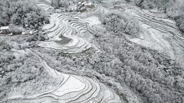 天地一片苍茫!贵州大娄山区雪景如一幅水墨画