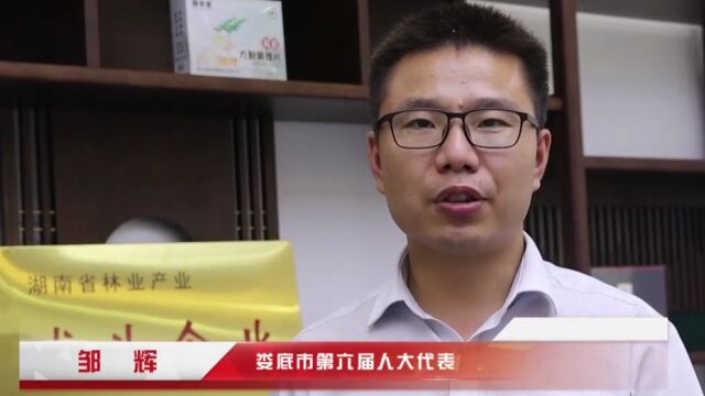 代表风采丨邹辉:用黄精铺就“黄金路”