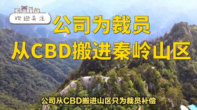 公司为裁员从CBD搬进秦岭山区